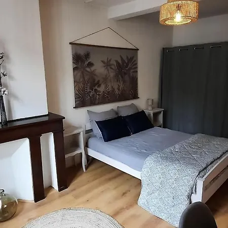 Rinaldi 57 Maison Typique Du Pont Vieux Albi Extérieur photo