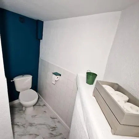 Rinaldi 57 Maison Typique Du Pont Vieux Albi Extérieur photo